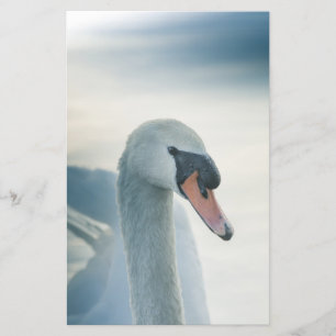 Mute Swan Nature Photo Stationery