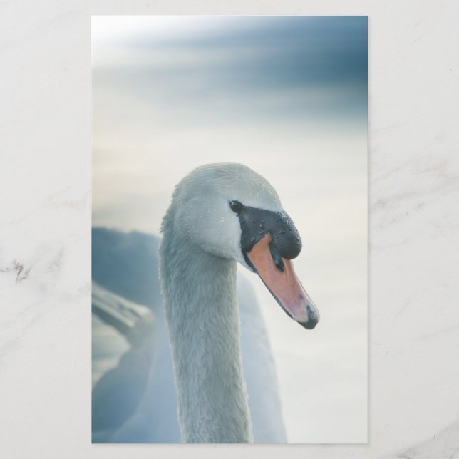 Mute Swan Nature Photo Stationery (Front)