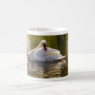 Mute swan on water coffee mug