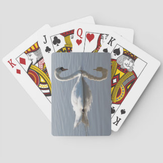 Mute Swan Playing Cards