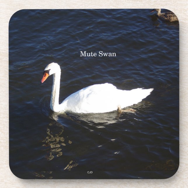 Mute Swan set of 6 plastic coasters (Front)