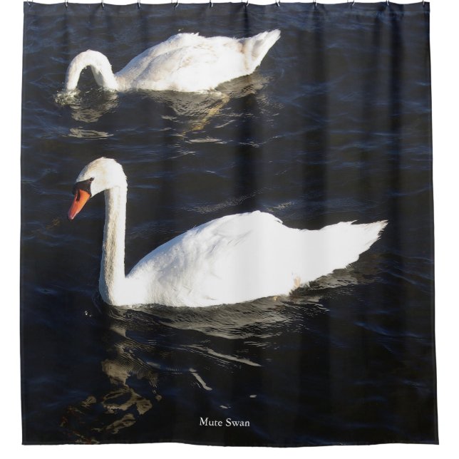 Mute Swan shower curtain (Front)