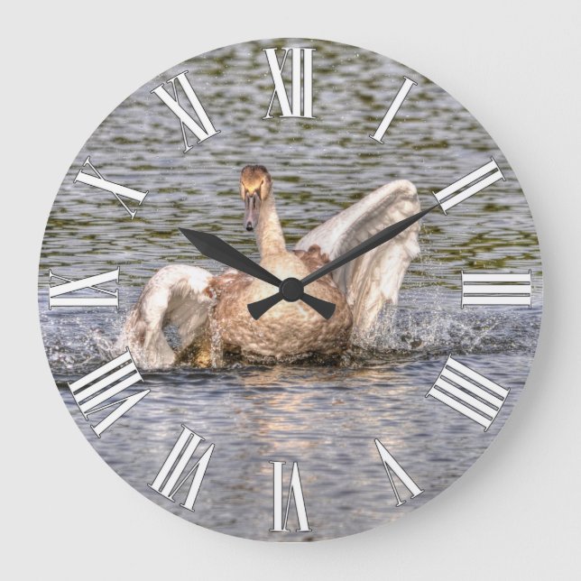 Mute Swan Wildlife Waterfowl Photo Large Clock (Front)