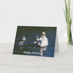 Mute Swan with Cygnets Birthday Card