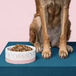 Muted Blush Pink Custom Pet Name Cat Dog Food Bowl<br><div class="desc">Add your cat, dog, or pet's name to this simple cute, minimal, and modern food bowl with a soft muted blush pink rose gold stripe at the bottom. Any colour or font can be changed by clicking "customize further" to design your own pet bowl. Coordinating items in the Paper Grape...</div>