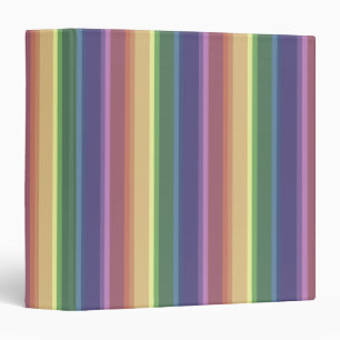 Muted rainbow stripes binder