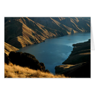 MUTED SNAKE: December River