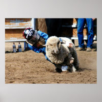 Mutton Buster Tries His Mettle