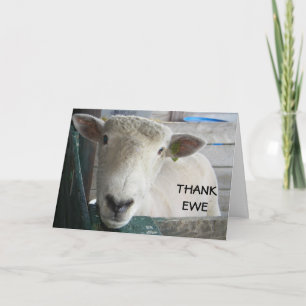 MUTTON MORE TO SAY - THANK EWE THANK YOU CARD