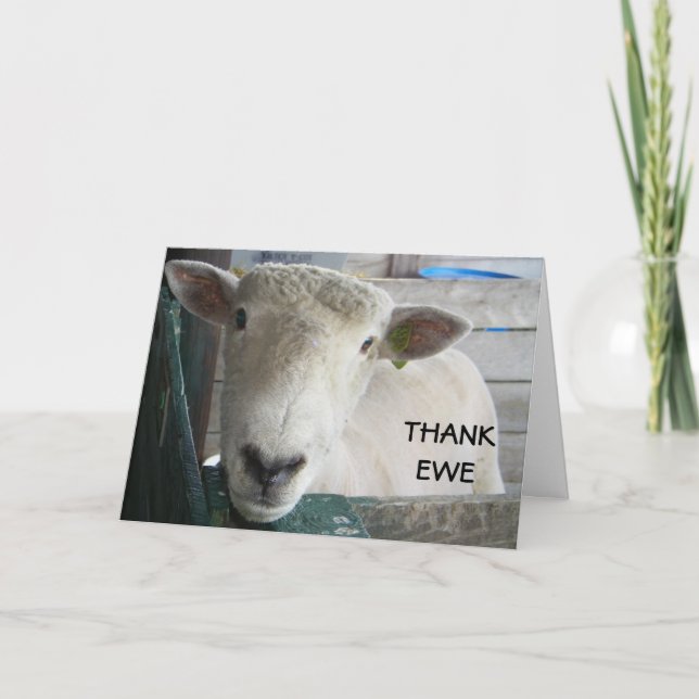 MUTTON MORE TO SAY - THANK EWE YOU CARD (Front)