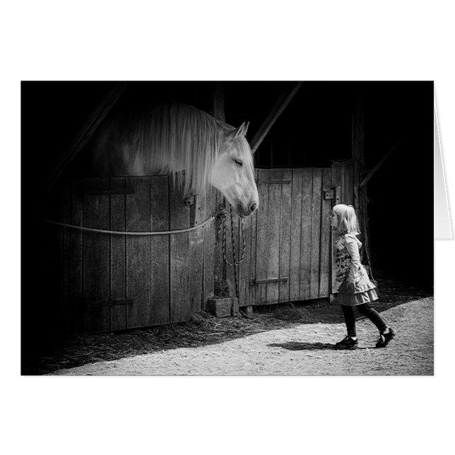 Mutual Curiosity (Front Horizontal)