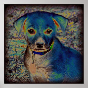 MVB Labrador Poster -Psychedelic Design