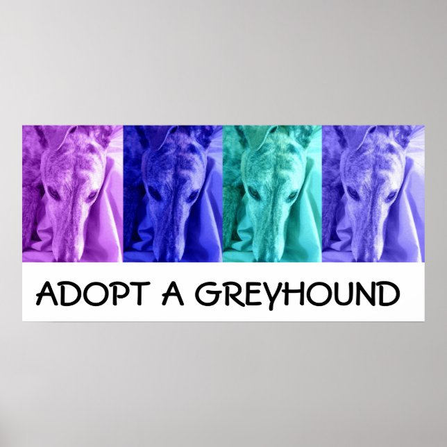 Mx4 Adopter une affiche Greyhound (Devant)