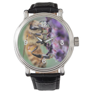 My 1st Bee of 2019 Watch