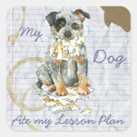 My ACD Ate My Lesson Plan