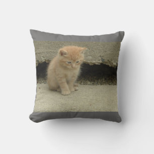 My Adorable Orange Tabby Kitten Throw Pillow