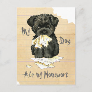 My Affenpinscher Ate My Homework Postcard