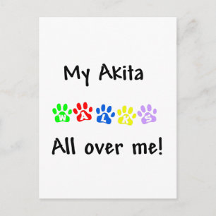 My Akita Walks All over Me Postcard