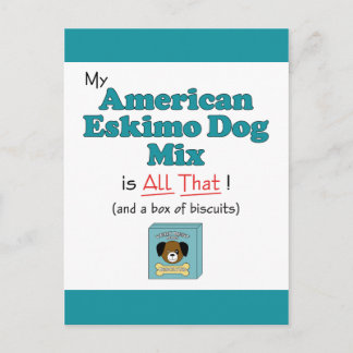 My American Eskimo Dog is All That! Postcard