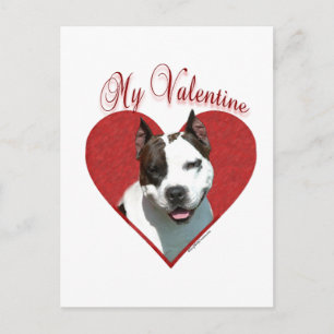 My AmStaff Valentine Holiday Postcard
