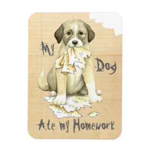 My Anatolian Ate my Homework Magnet