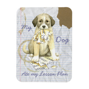 My Anatolian Ate My Lesson Plan Magnet
