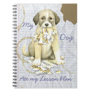 My Anatolian Ate My Lesson Plan Notebook
