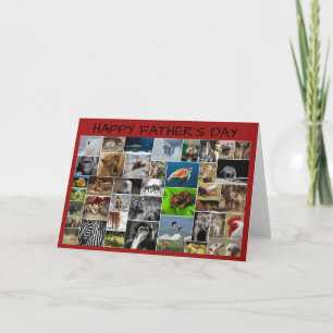My Animal Kingdom, Father's Day Greeting Card