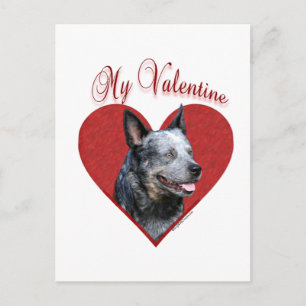 My Australian Cattle Dog Valentine Holiday Postcard