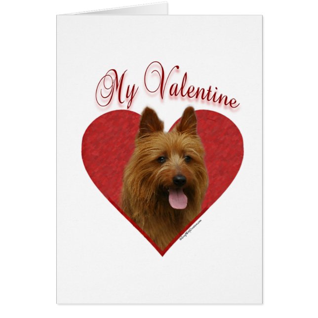 My Australian Terrier Valentine (Front)