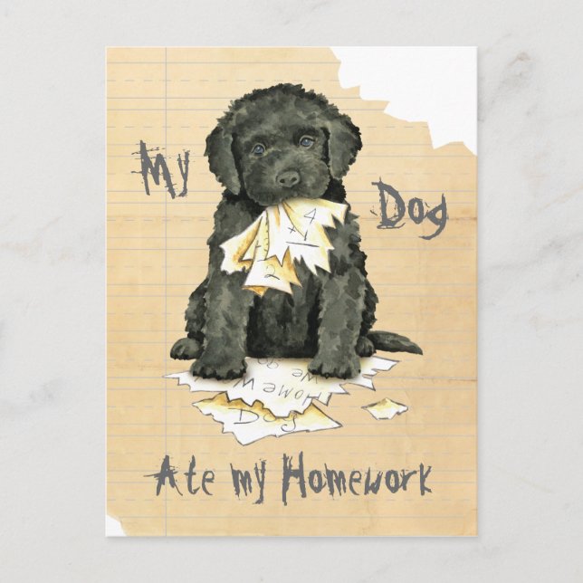 My Barbet Ate My Homework Postcard (Front)