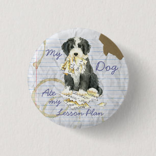 My Bearded Colllie Ate My Lesson Plan 1 Inch Round Button