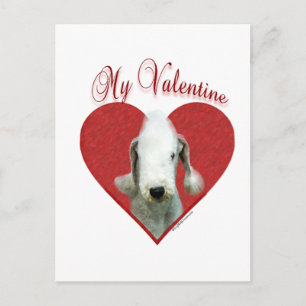 My Bedlington Terrier Valentine Holiday Postcard