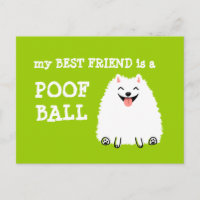 My Best Friend is a Poof Ball - Funny Pomeranian