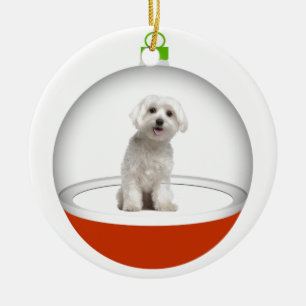 My Best Friend - SRF Ceramic Ornament
