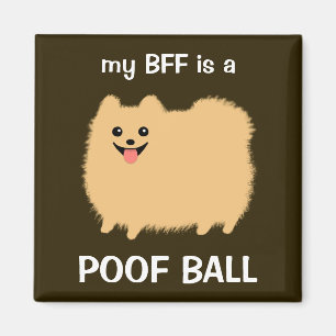 My BFF is a Pomeranian Poof Ball - Fun Pom Design Magnet