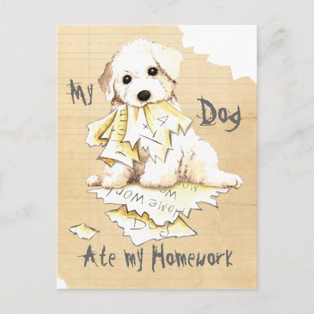 My Bichon Ate My Homework Postcard (Front)