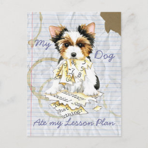 My Biewer Terrier Ate My Lesson Plan Postcard