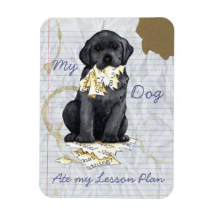 My Black Lab Ate My Lesson Plan Magnet