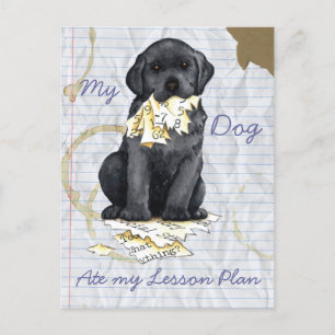 My Black Lab Ate My Lesson Plan Postcard