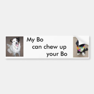 My Bo Bumper Sticker