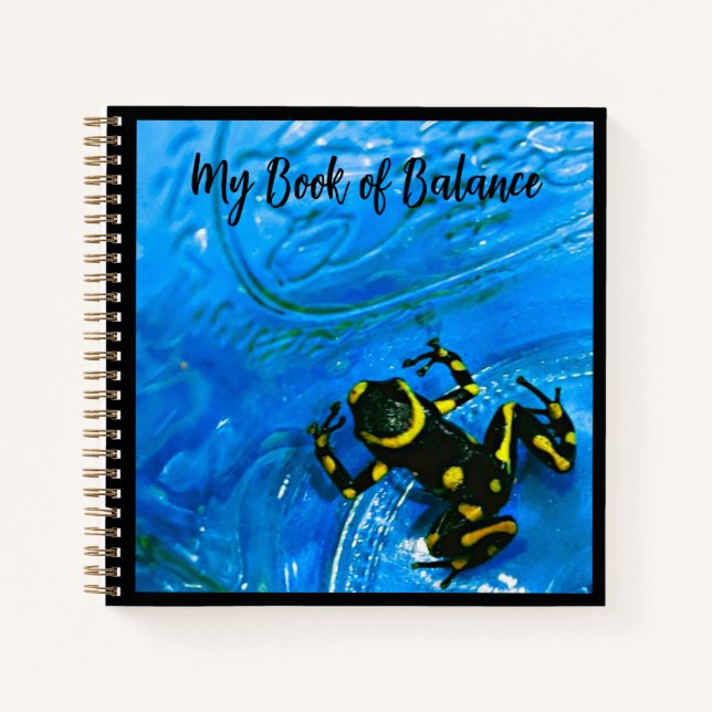 My Book of Balance Spiral Notebook (Front)