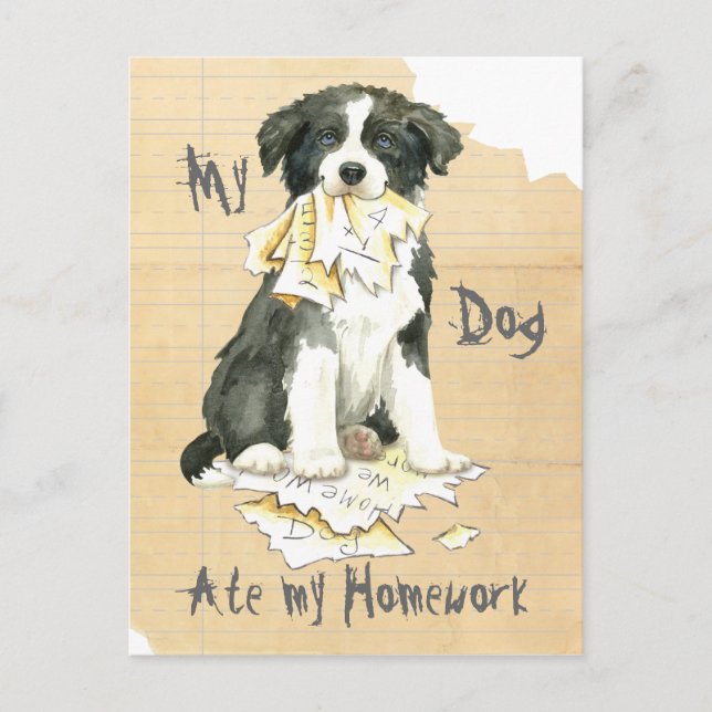 My Border Collie Ate my Homework Postcard (Front)