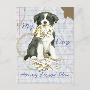 My Border Collie Ate my Lesson Plan Postcard