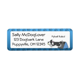 My Border Collie Loves Flyball