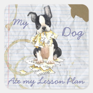 My Boston Terrier Ate My Lesson Plan Square Sticker