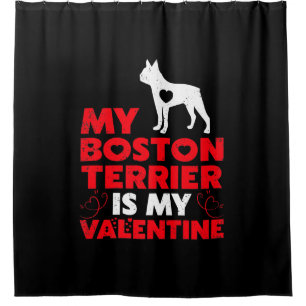 My Boston Terrier Is My Valentine Boston Terrier