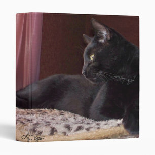 My Boy, Charlie Binder