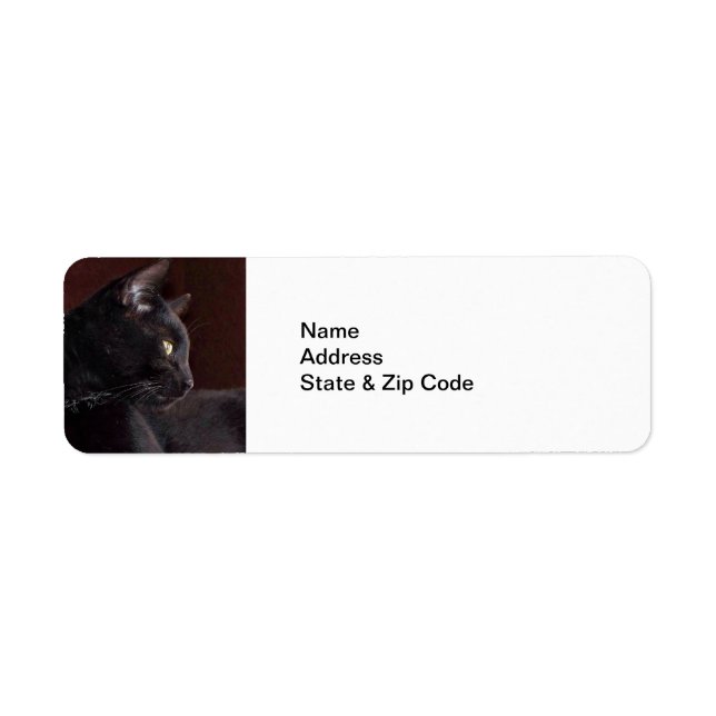 My Boy, Charlie Return Address Labels (Front)
