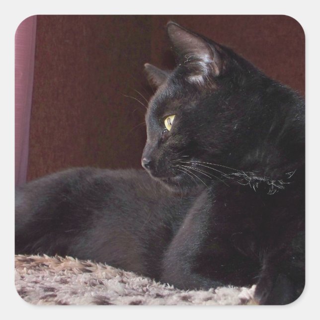 My Boy, Charlie Square Sticker (Front)
